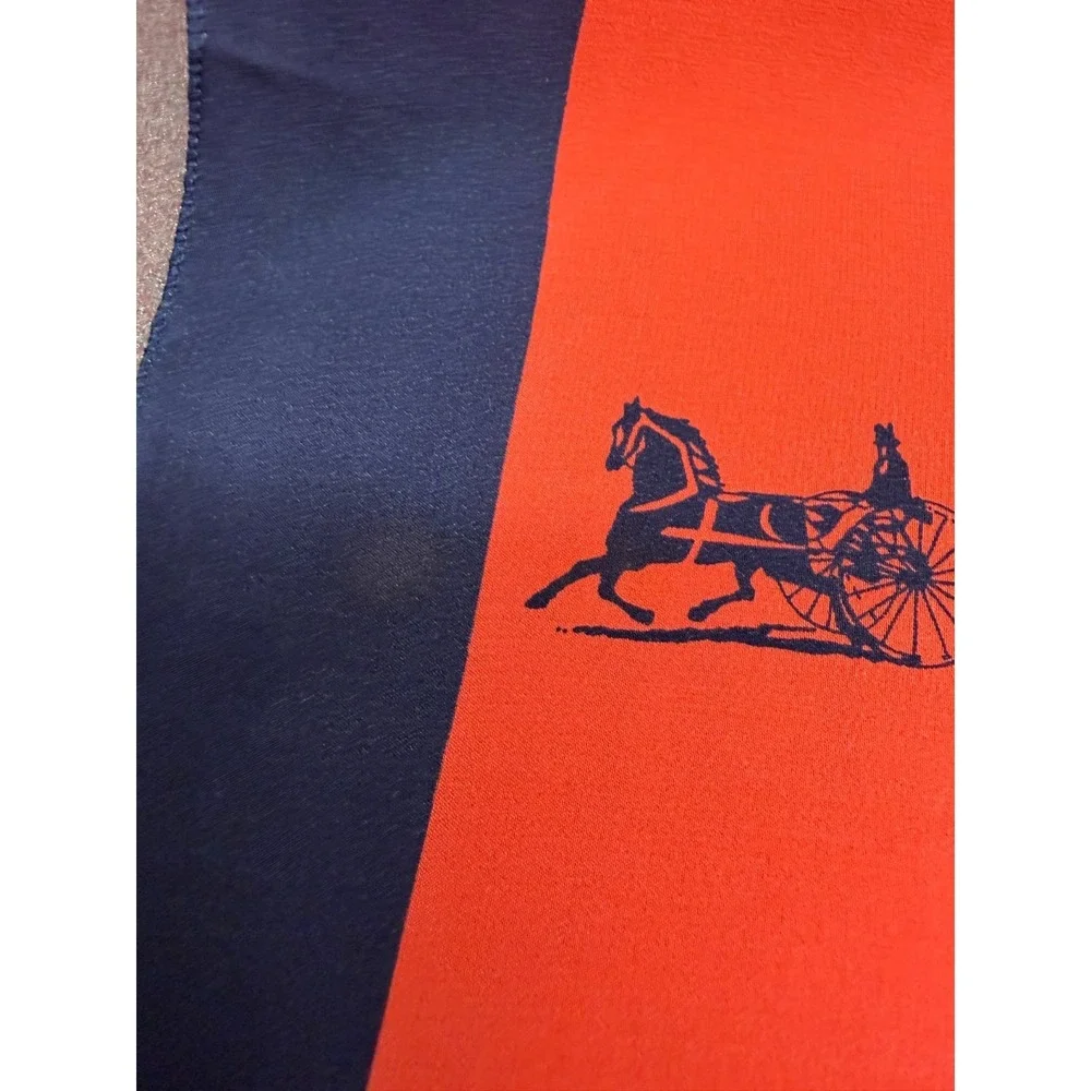 Celine Silk Scarf Bright Coral and Navy 22